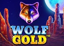 Wolf G Detective Slots Casino Game  Detective Slots Casino Online
