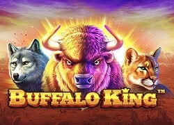 Buffalo King Detective Slots Casino Slot  Detective Slots Casino Online