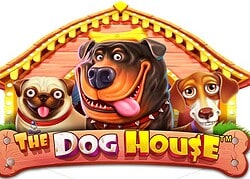 Dog House Detective Slots Casino Game  Detective Slots Casino Online
